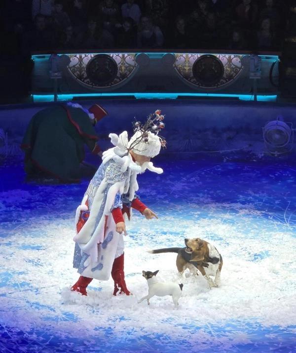 Event image МОРОЗКО