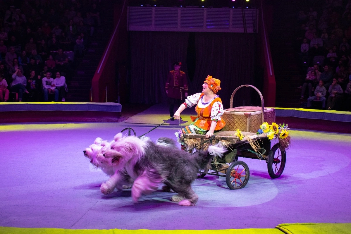 Асият Агаева