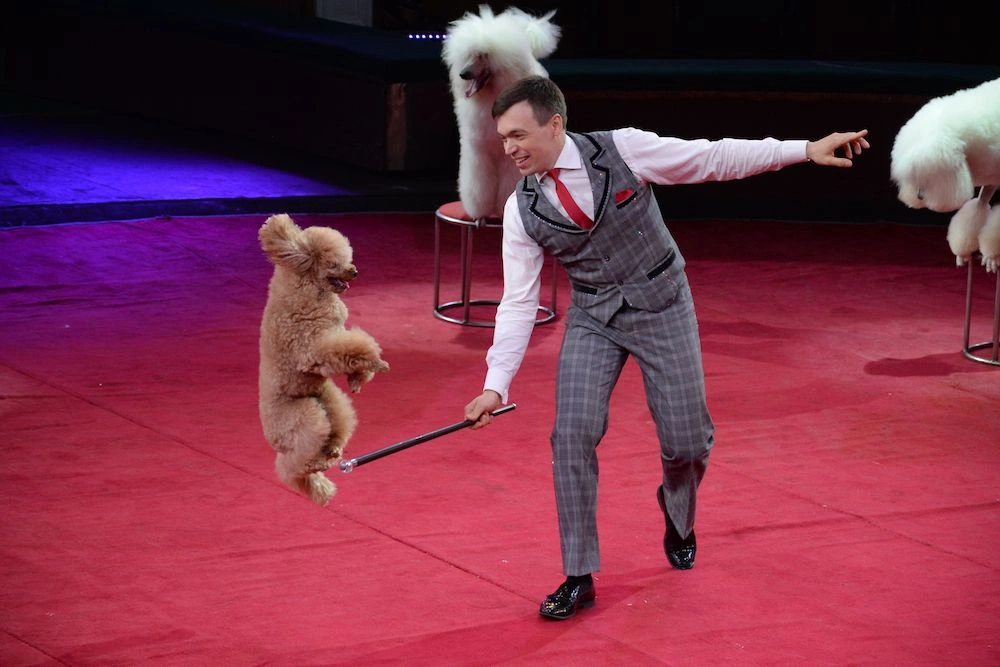 Евгений Комисаренко